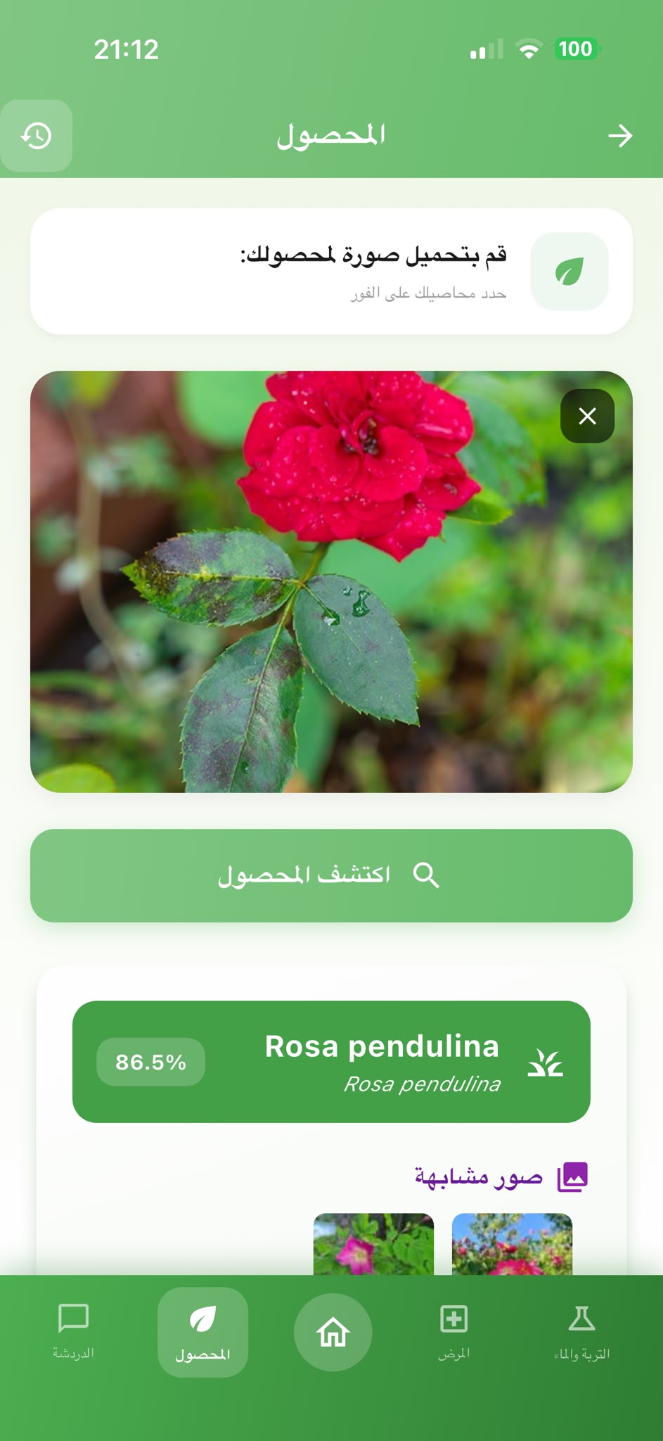 شاشة تحليل المحصول في AgroAdvisor لمراجعة معلومات النبات وملاحظات الحقل