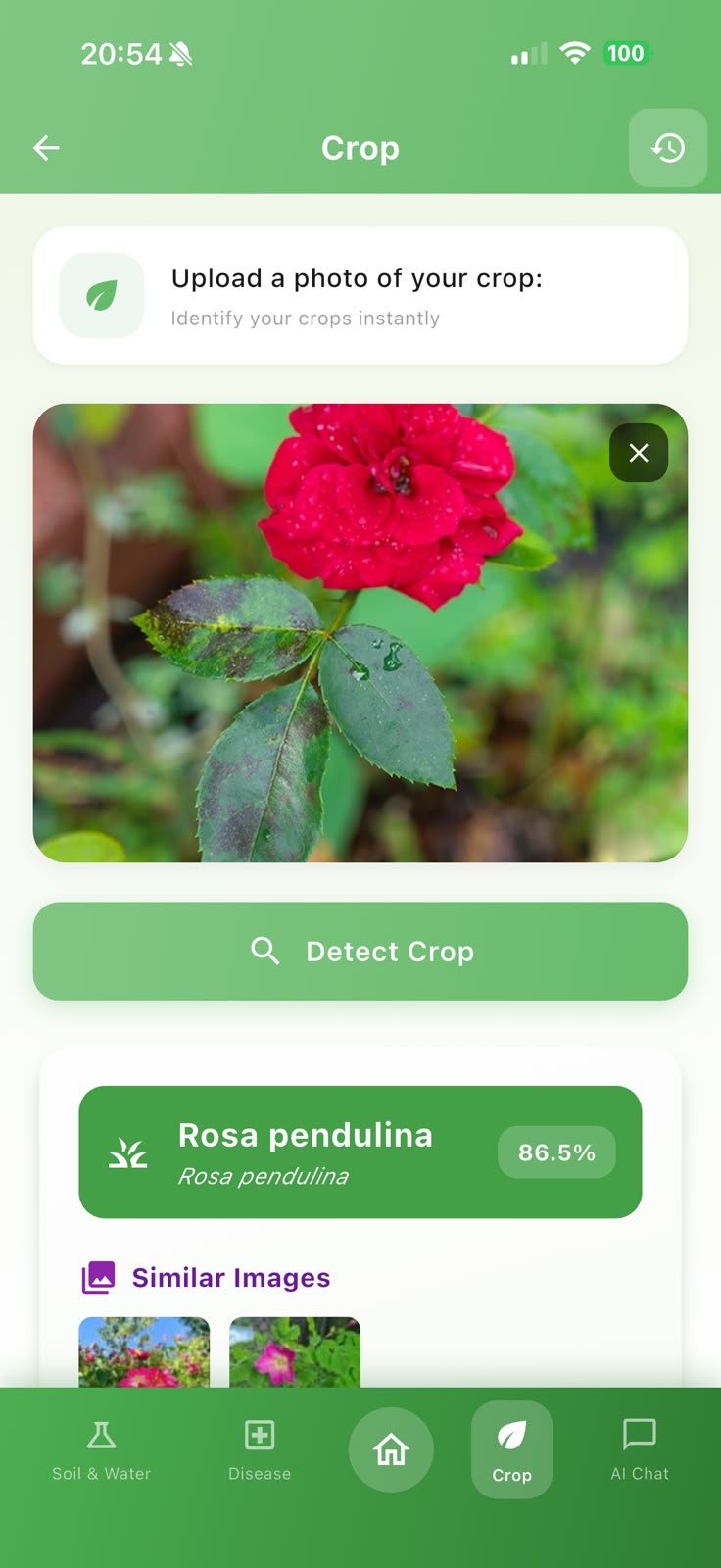 AgroAdvisor crop analysis screen used to review plant information and field observations
