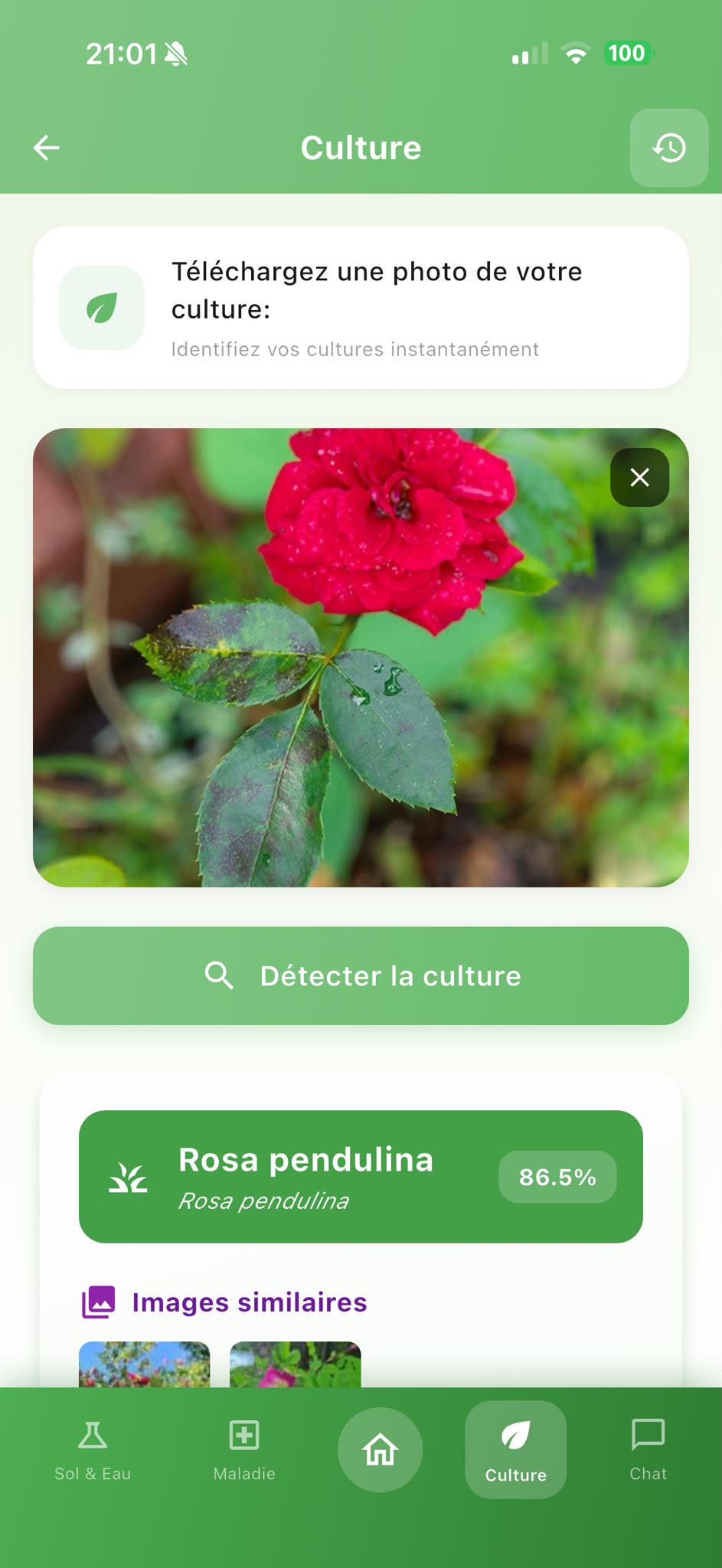 Écran AgroAdvisor d’analyse des cultures pour examiner les informations sur la plante et les observations de terrain