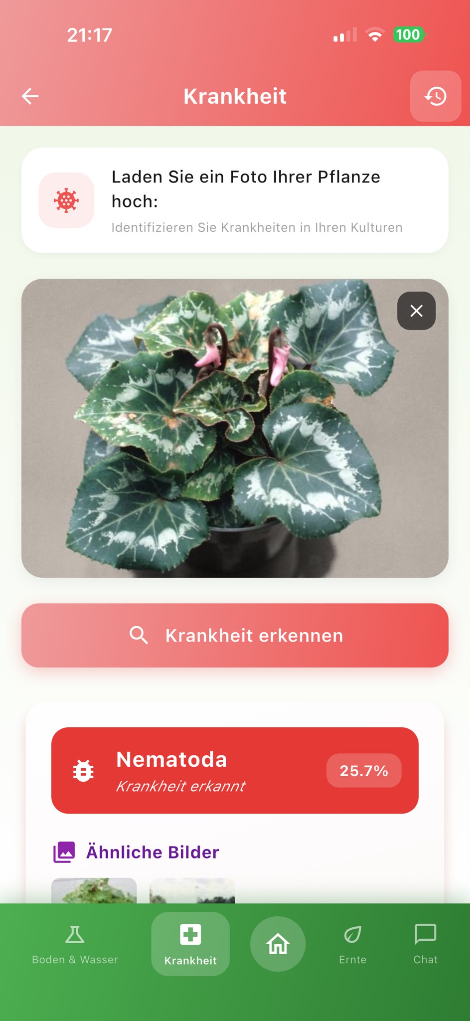 AgroAdvisor Bildschirm zur Krankheitserkennung mit KI-gestütztem Ablauf zur Analyse der Pflanzengesundheit
